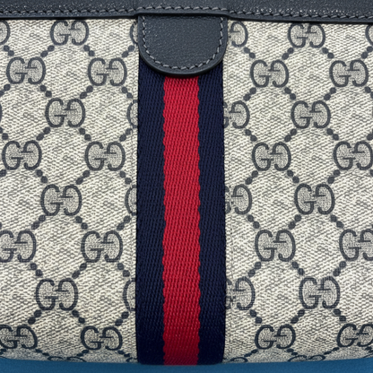 Gucci Ophidia clutch