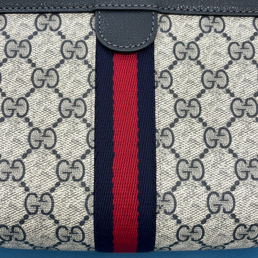 Gucci Ophidia clutch